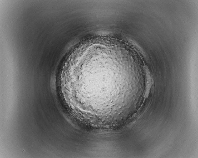 X0000113980626200910091318