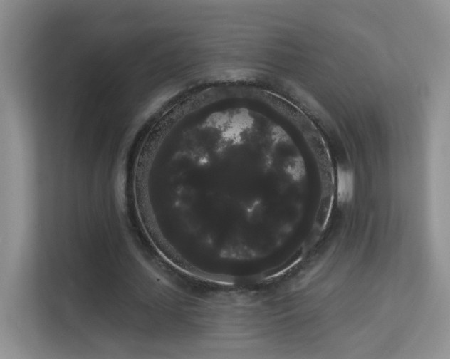 X0000113980627200910091318