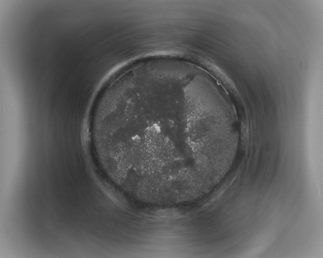 X0000113980628200910091318