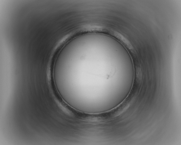 X0000113980629200910091318