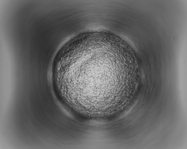 X0000113980630200910091318