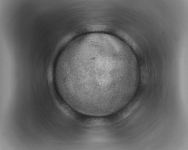 X0000113980631200910091318