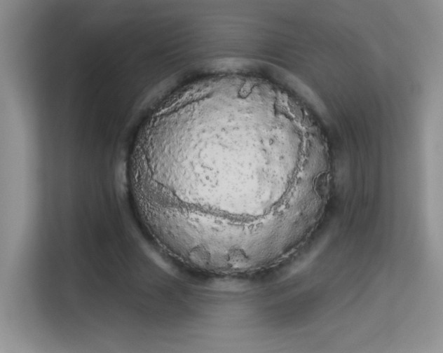 X0000113980633200910091318