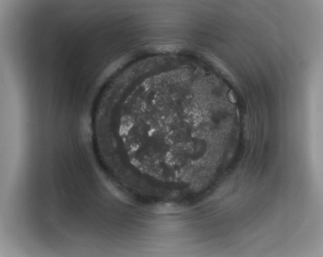 X0000113980634200910091318