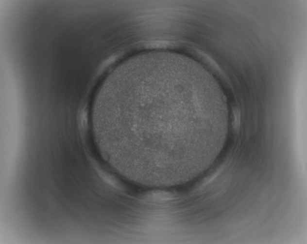 X0000113980636200910091318