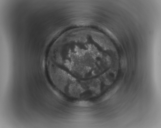 X0000113980637200910091318