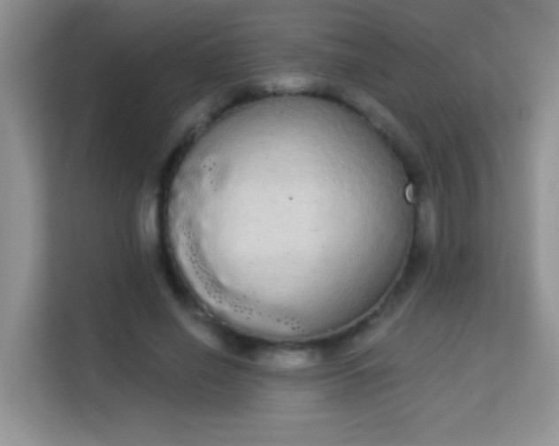 X0000113980638200910091318