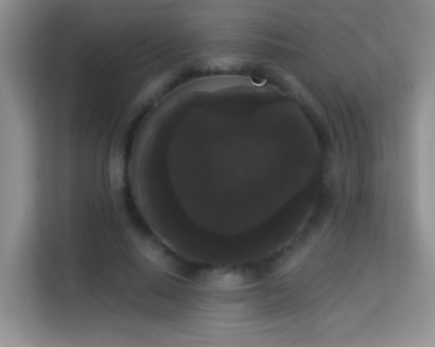 X0000113980640200910091319