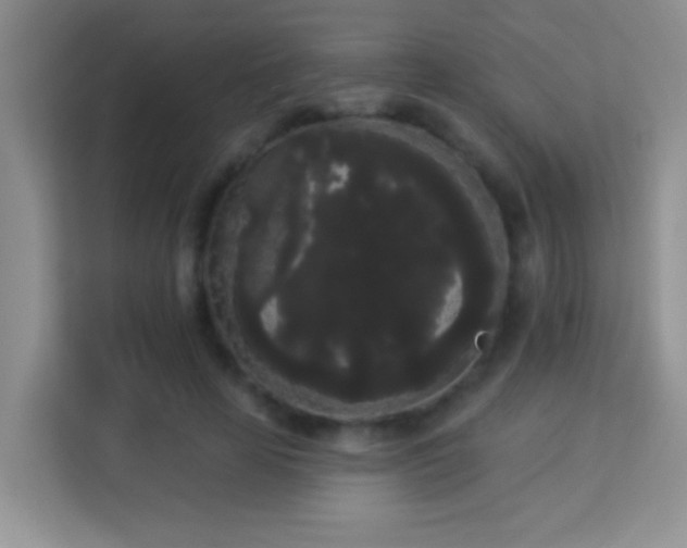 X0000113980641200910091319