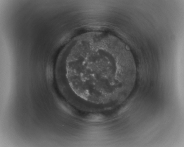 X0000113980642200910091319