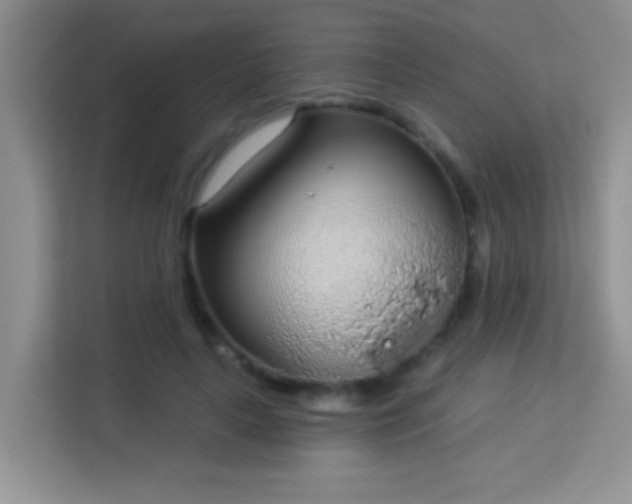 X0000113980643200910091319