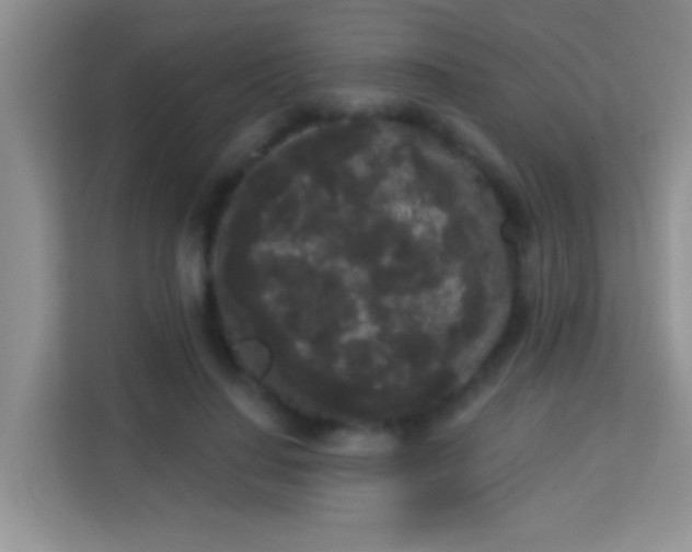 X0000113980644200910091319