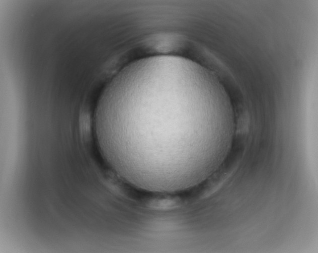 X0000113980646200910091319