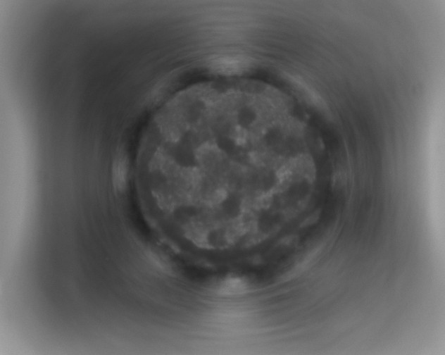 X0000113980647200910091319