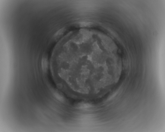 X0000113980648200910091319