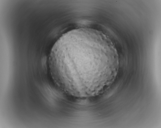 X0000113980649200910091319