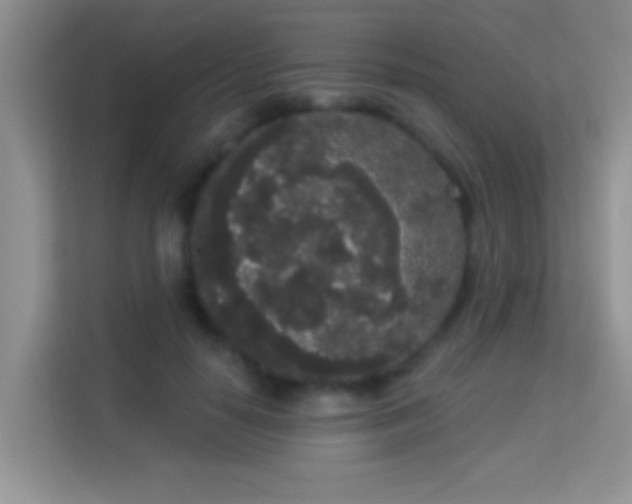 X0000113980650200910091319