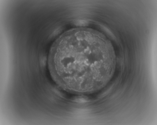 X0000113980652200910091319