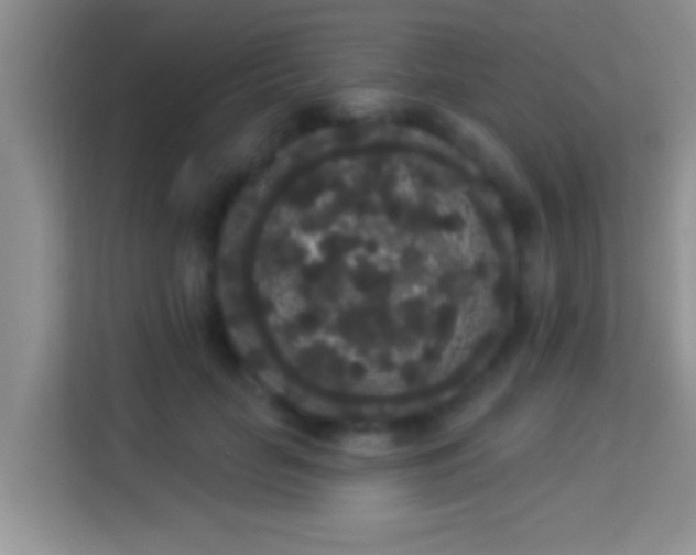 X0000113980653200910091319