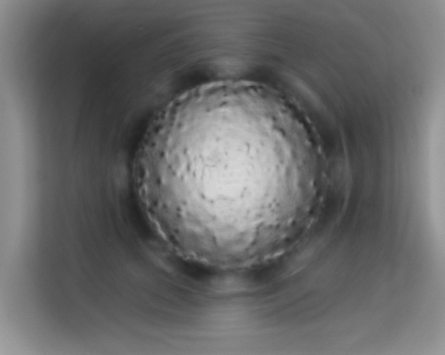 X0000113980655200910091319