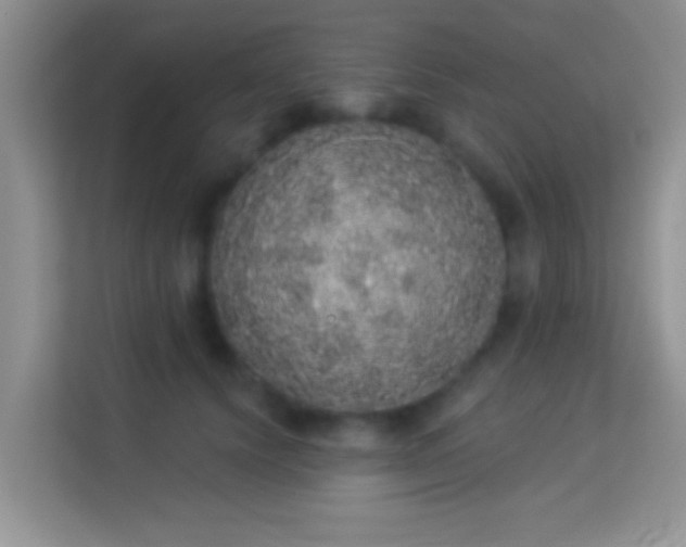 X0000113980656200910091319