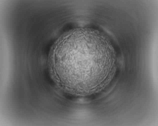 X0000113980657200910091319