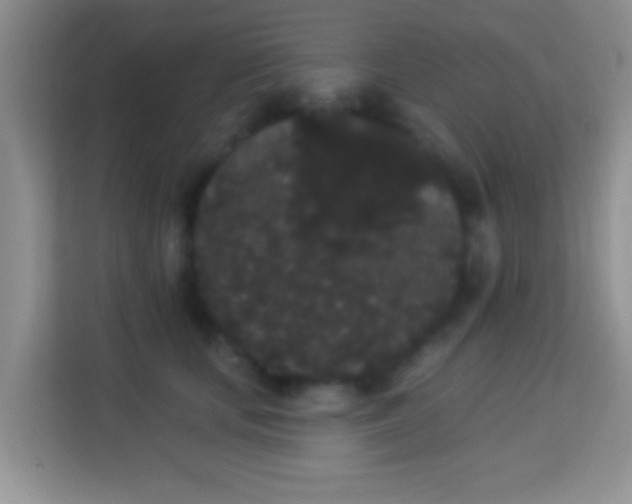 X0000113980659200910091319