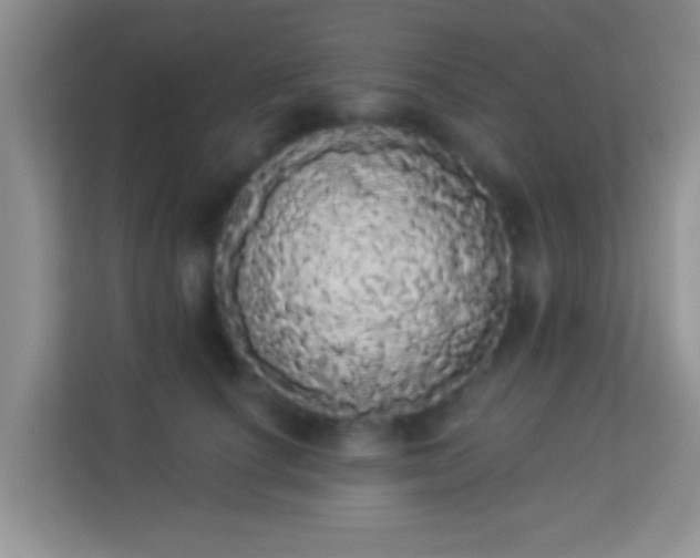 X0000113980660200910091319