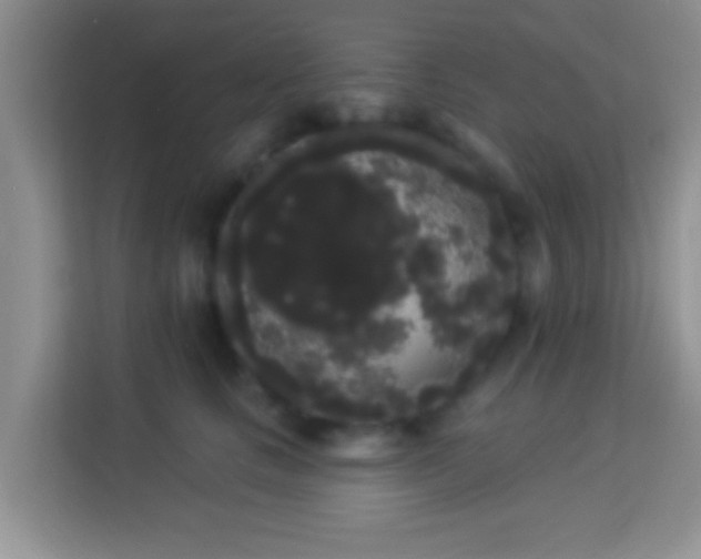 X0000113980661200910091319