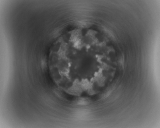 X0000113980663200910091319