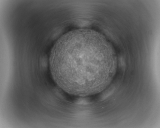 X0000113980664200910091319