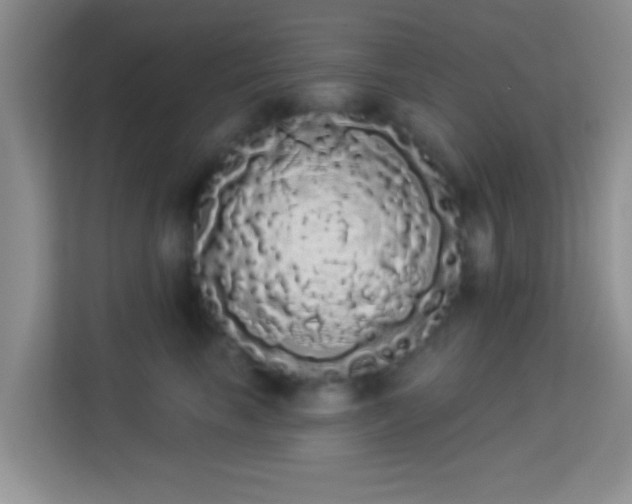 X0000113980665200910091319