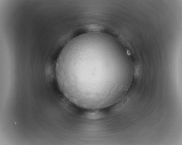 X0000113980666200910091319