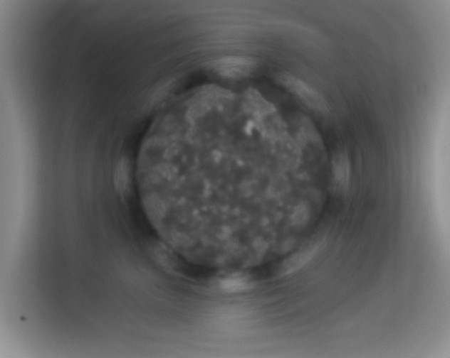 X0000113980667200910091319