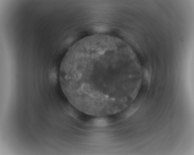 X0000113980668200910091319