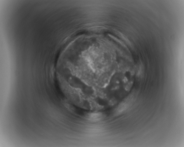 X0000113980669200910091319