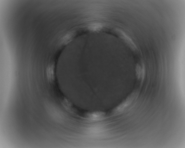 X0000113980670200910091319