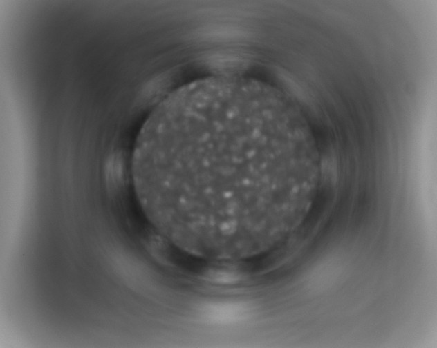 X0000113980671200910091319