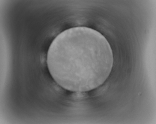 X0000113980672200910091319