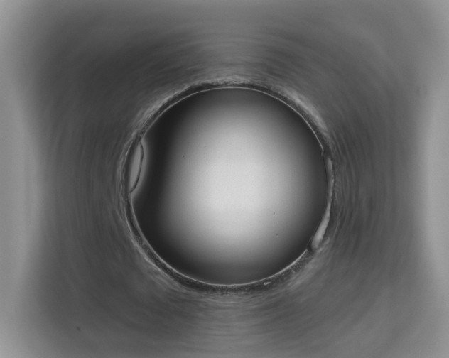 X0000113980673200910091318