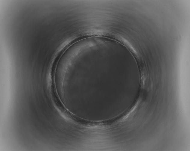 X0000113980674200910091318