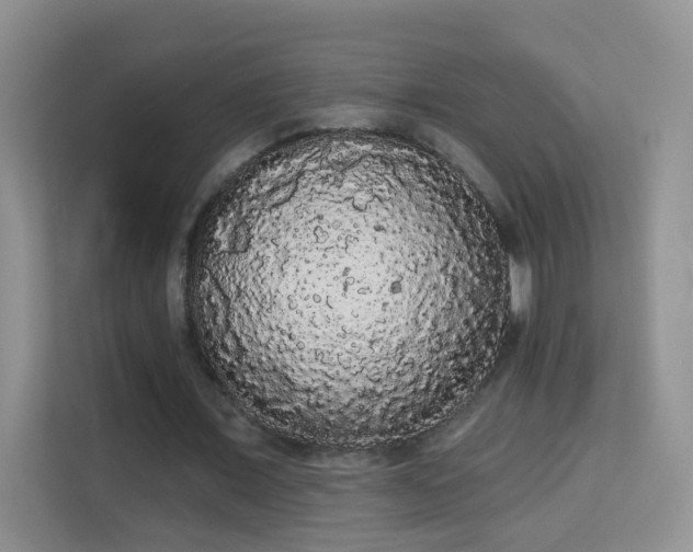 X0000113980675200910091318