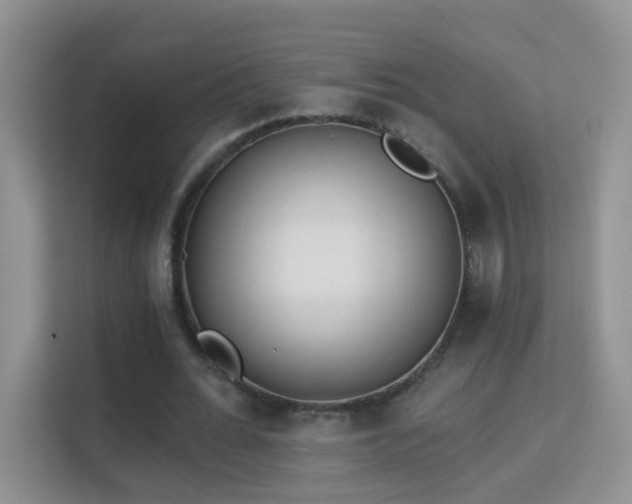 X0000113980676200910091318