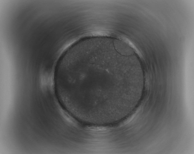 X0000113980677200910091318