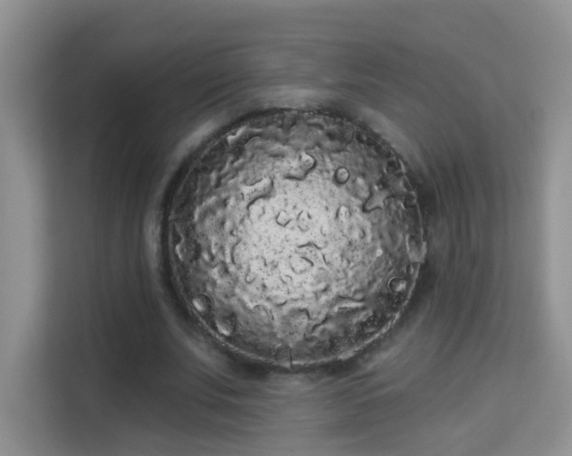 X0000113980679200910091318