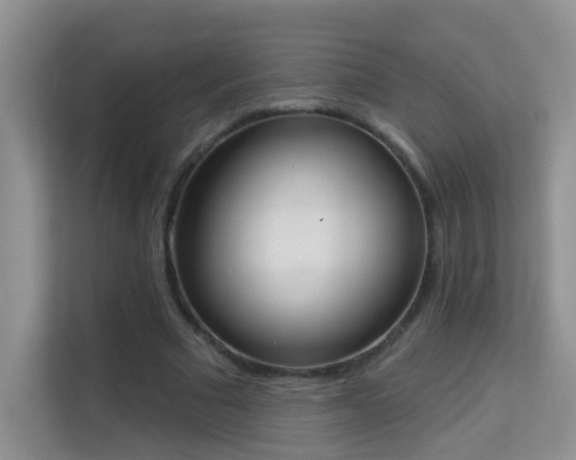 X0000113980681200910091318