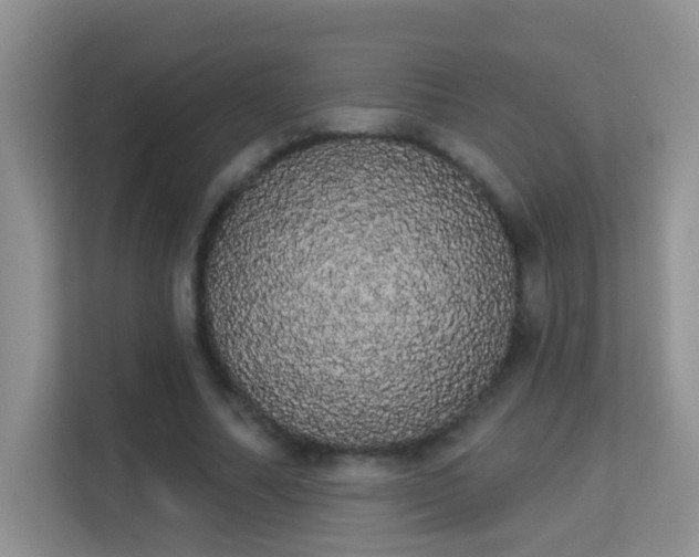 X0000113980682200910091318