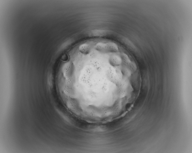 X0000113980683200910091318