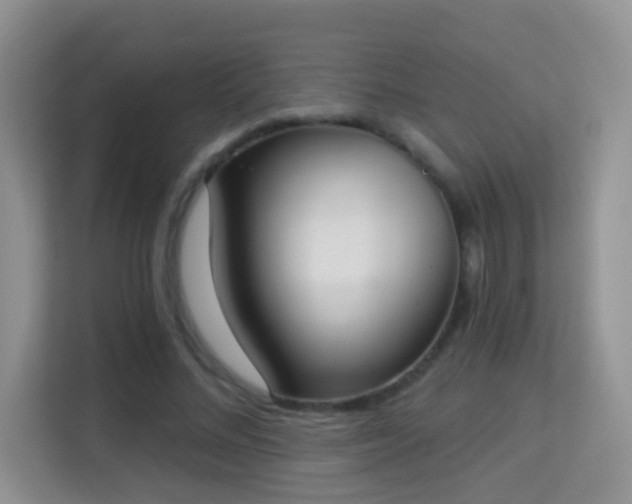 X0000113980684200910091318