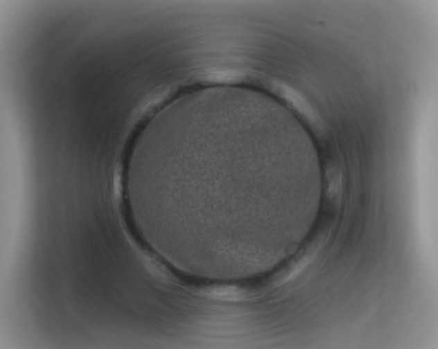 X0000113980685200910091318